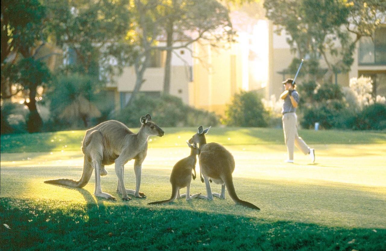 Joondalup Resort Perth Exterior photo